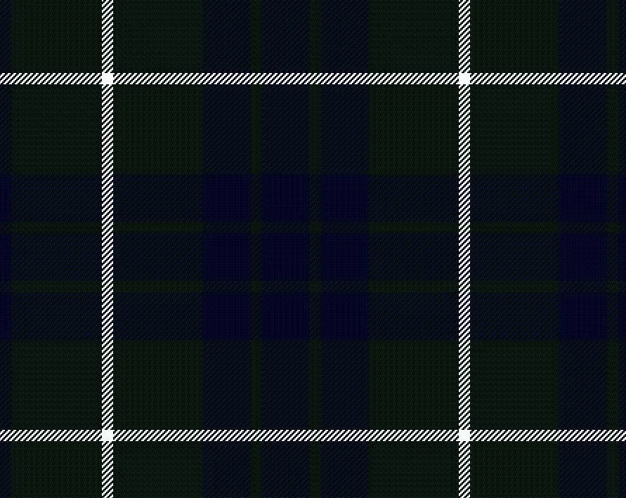 Hamilton Green Modern Tartan Scarf