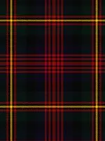 Logan Modern Light Weight Tartan Scarf