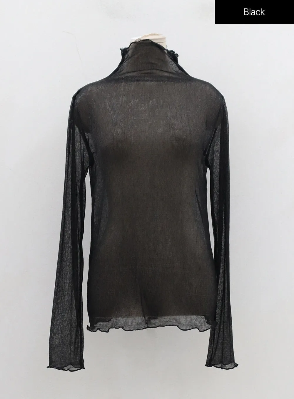 Mesh Long Sleeve Turtleneck BD28