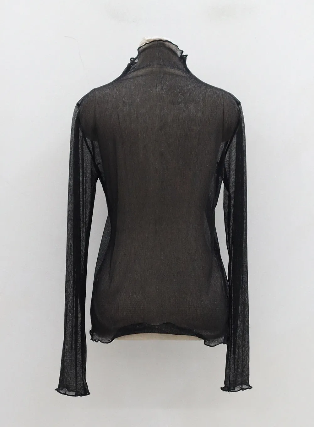 Mesh Long Sleeve Turtleneck BD28