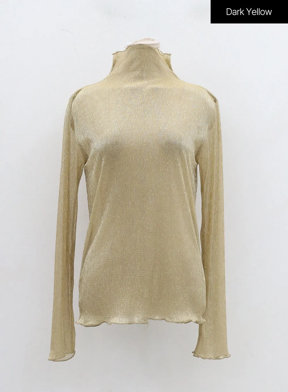 Mesh Long Sleeve Turtleneck BD28