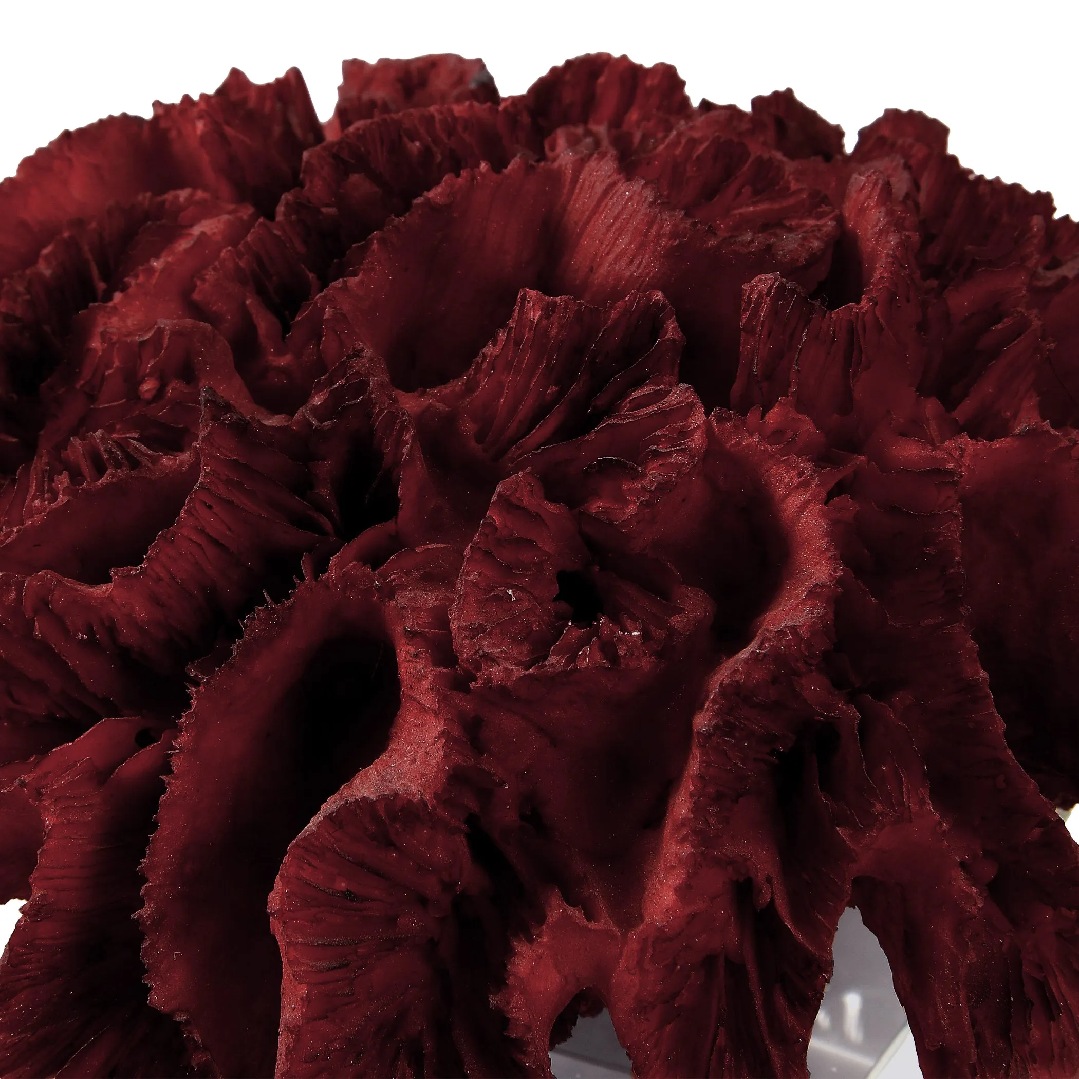 Uttermost Red Coral Cluster